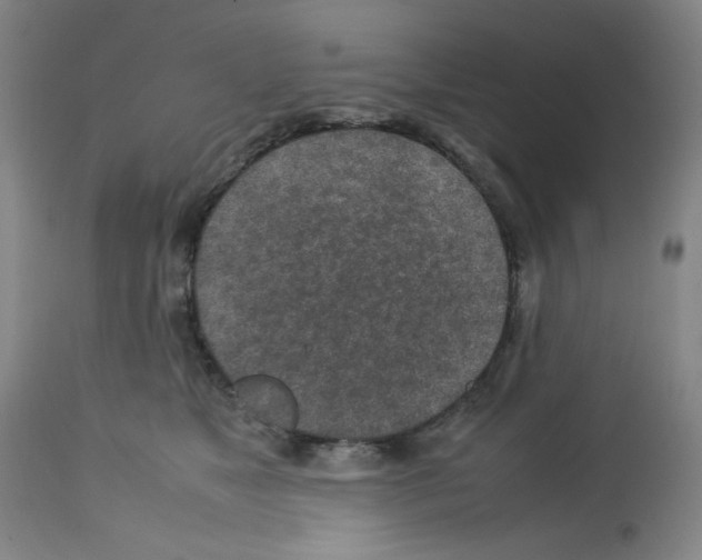 X0000112730517200910011200