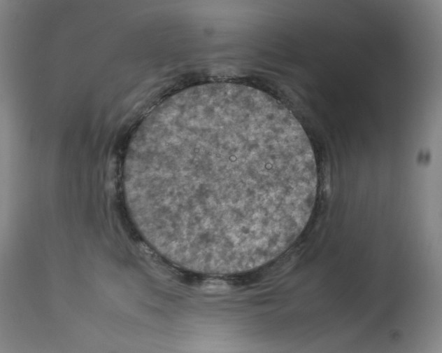 X0000112730519200910011200