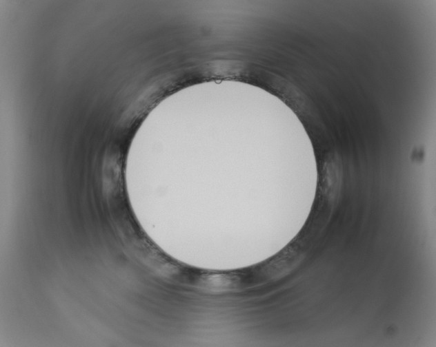 X0000112730522200910011200