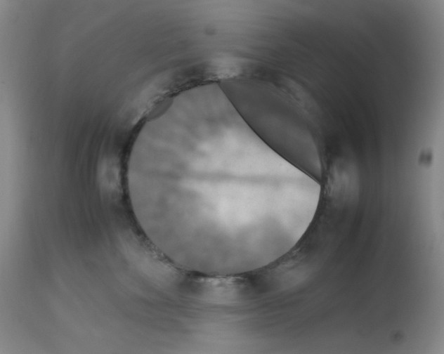 X0000112730524200910011200