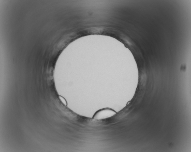 X0000112730525200910011200