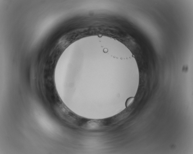 X0000112730526200910011200