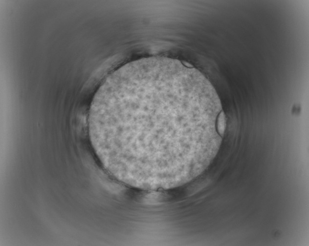 X0000112730527200910011200