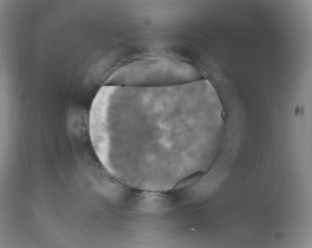 X0000112730528200910011200