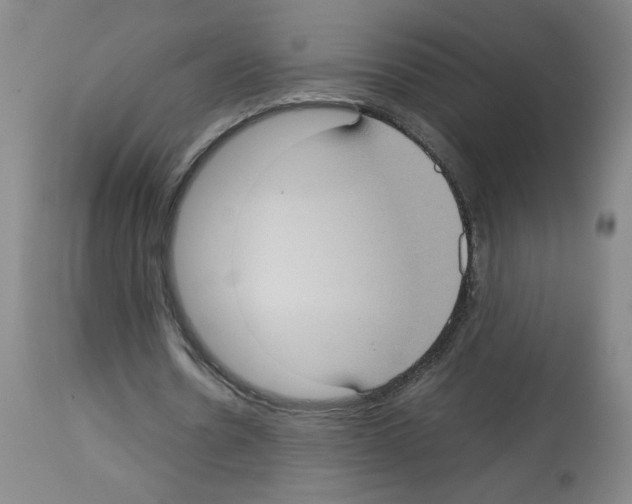 X0000112730530200910011159