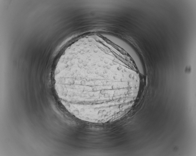 X0000112730531200910011159