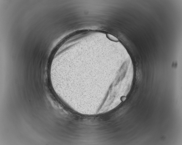 X0000112730532200910011159