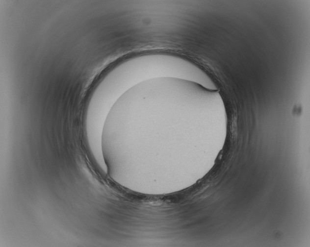 X0000112730540200910011159
