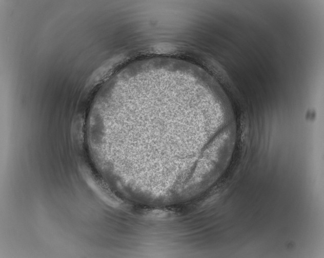 X0000112730542200910011159