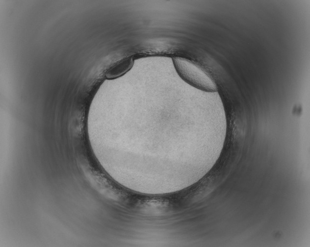 X0000112730546200910011159