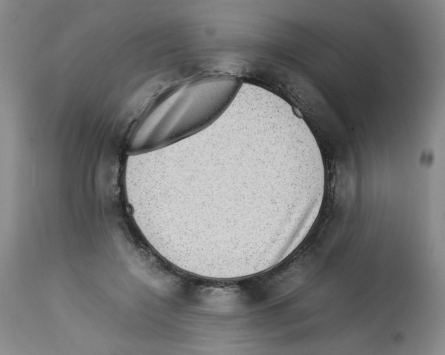 X0000112730548200910011159
