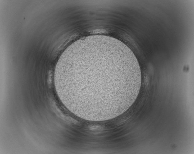 X0000112730549200910011159