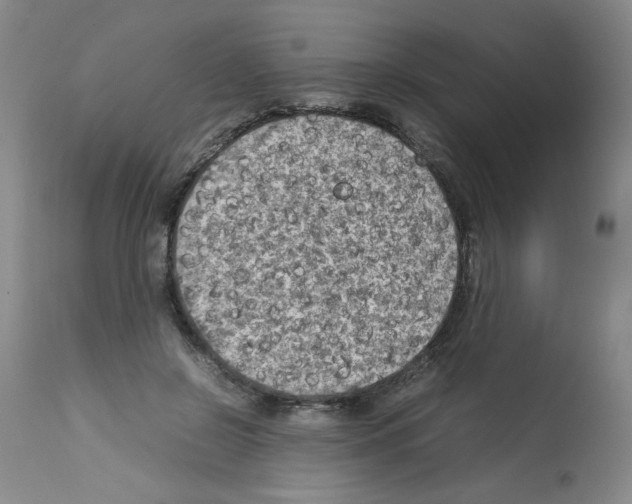 X0000112730550200910011159