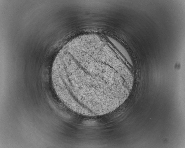 X0000112730551200910011159