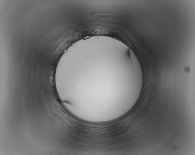 X0000112730553200910011159