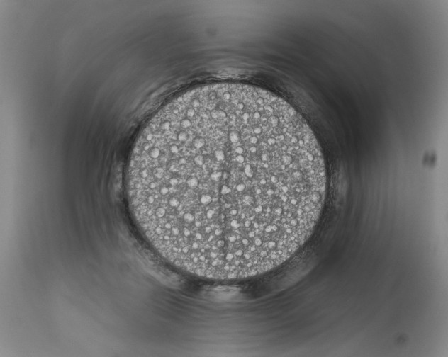 X0000112730554200910011159