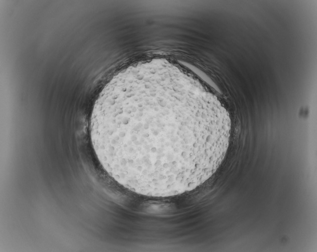 X0000112730555200910011159