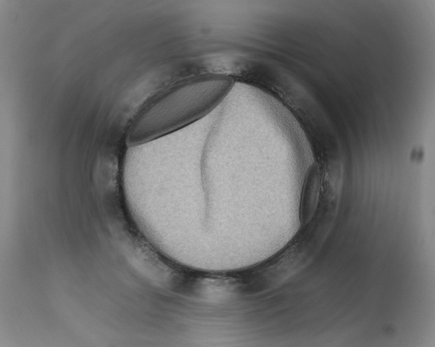 X0000112730556200910011159