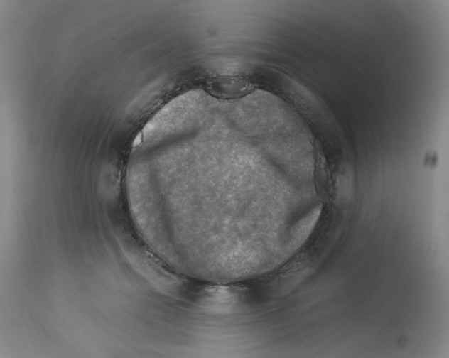 X0000112730558200910011200