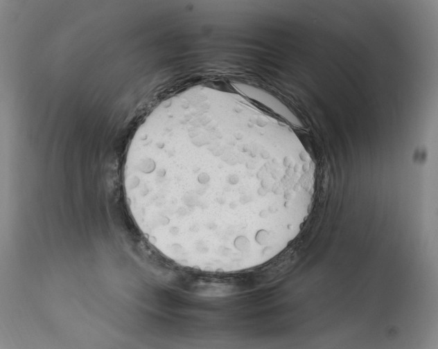 X0000112730559200910011200