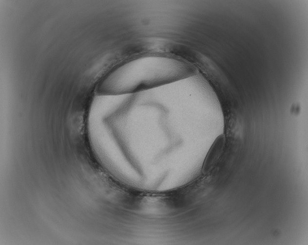X0000112730560200910011200