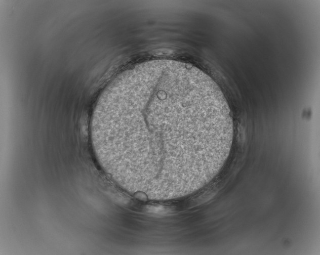 X0000112730561200910011200