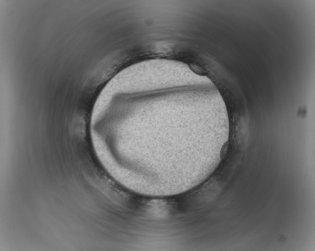 X0000112730562200910011200
