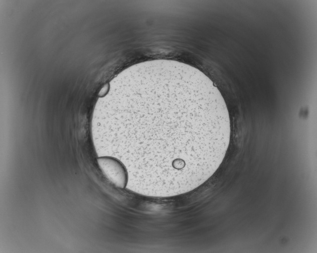 X0000112730563200910011200