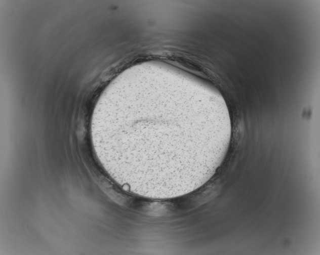 X0000112730566200910011200