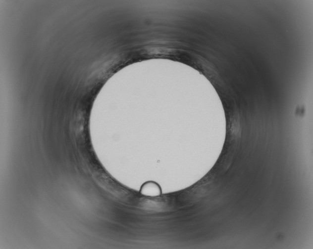 X0000112730567200910011200