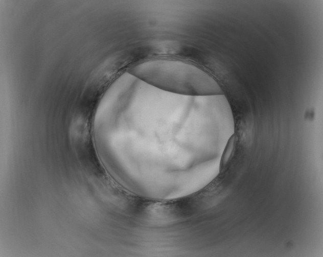 X0000112730568200910011200
