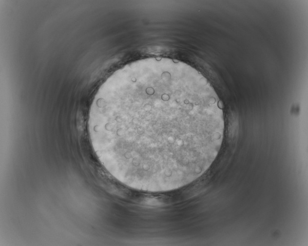X0000112730569200910011200