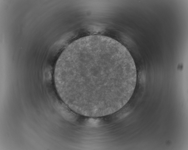 X0000112730570200910011200