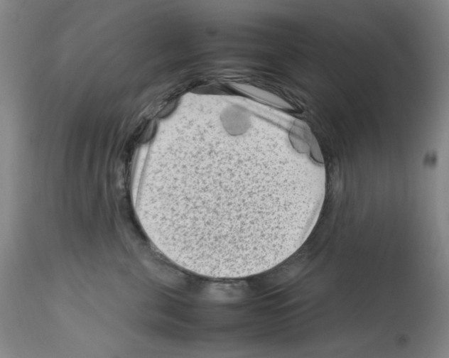 X0000112730571200910011200