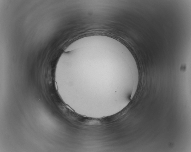 X0000112730572200910011200