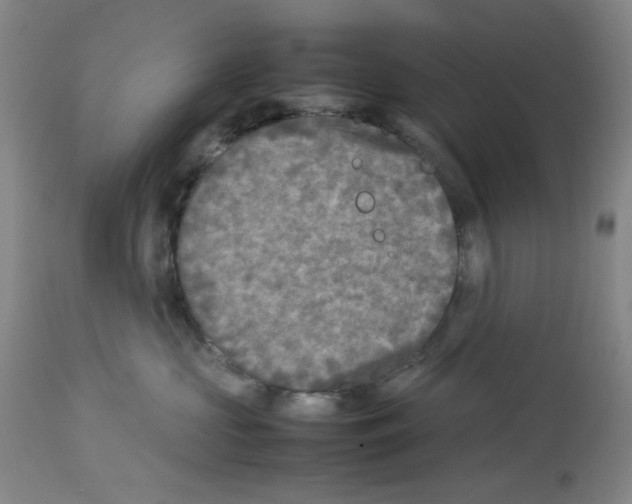 X0000112730573200910011200