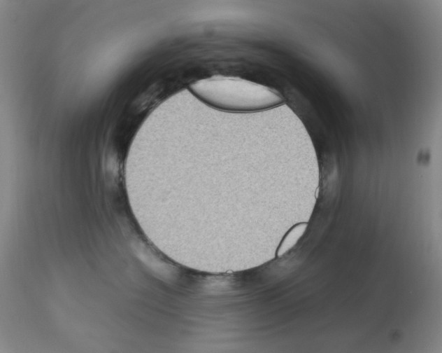 X0000112730574200910011200