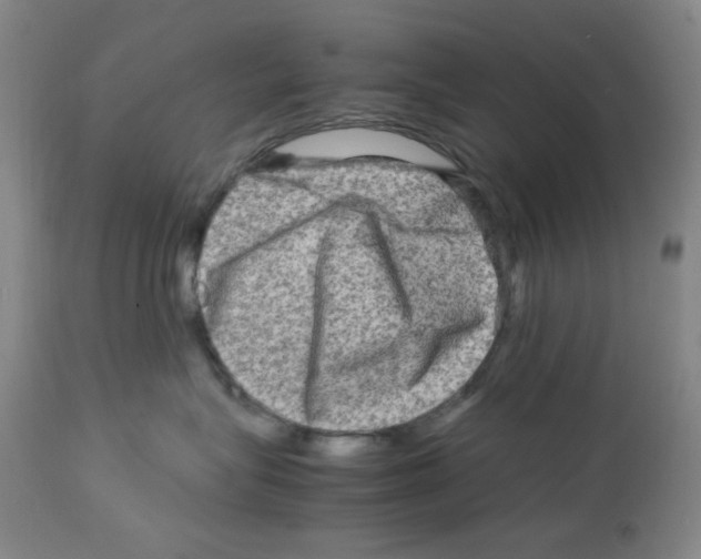 X0000112730575200910011200