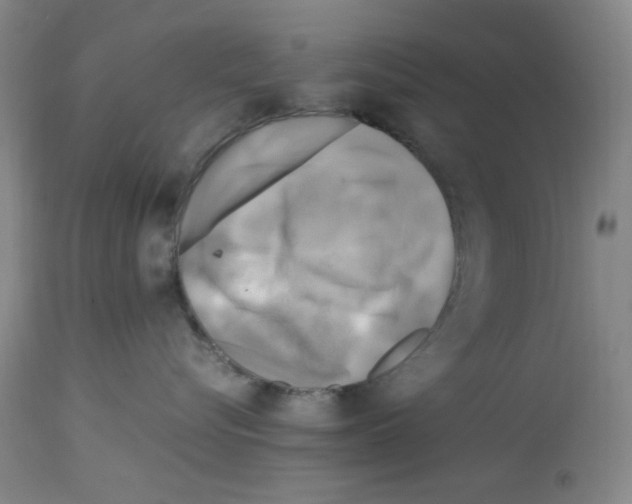 X0000112730576200910011200