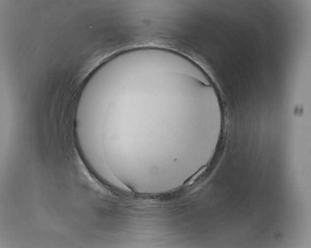 X0000112730577200910011159