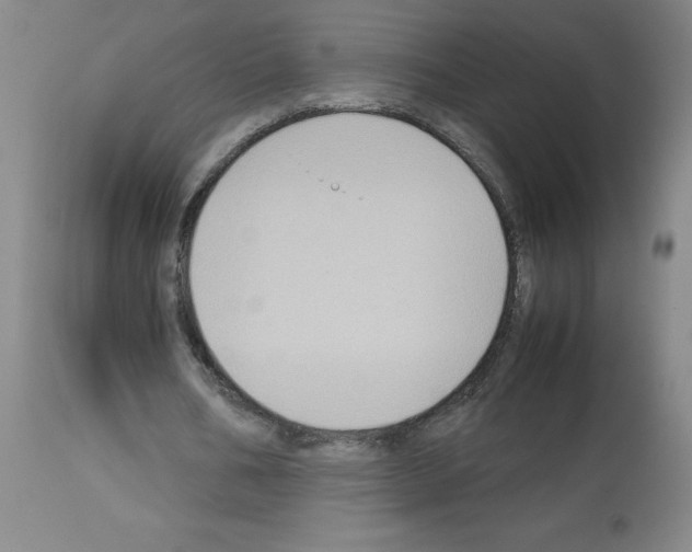 X0000112730578200910011159