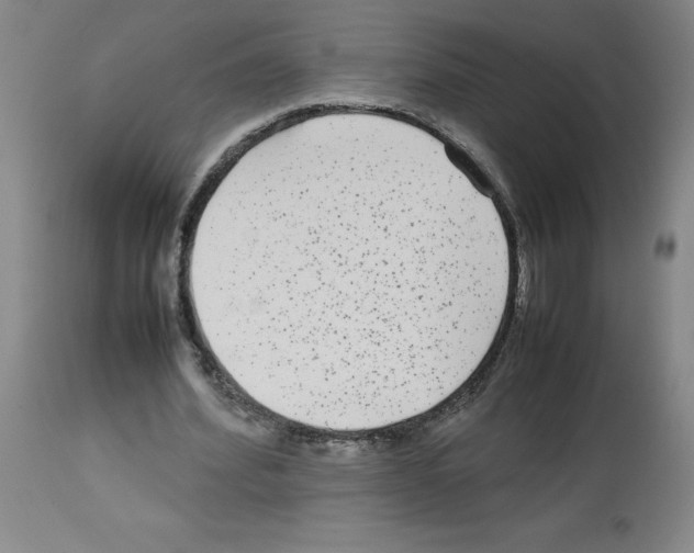 X0000112730580200910011159