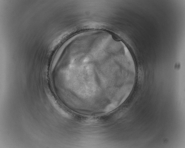 X0000112730581200910011159