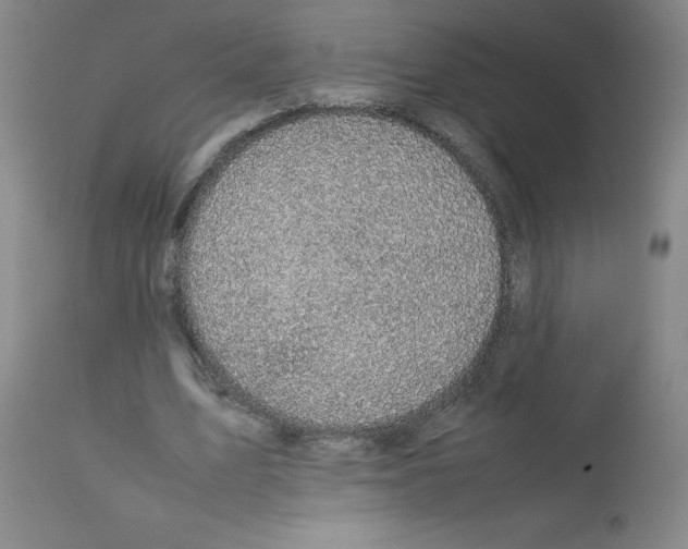 X0000112730583200910011159