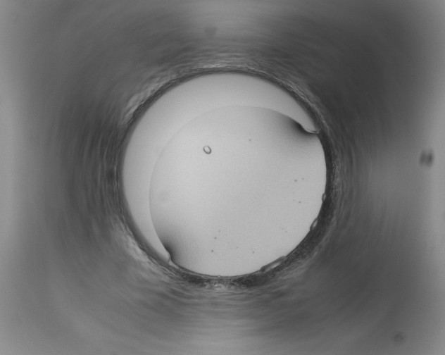 X0000112730585200910011159