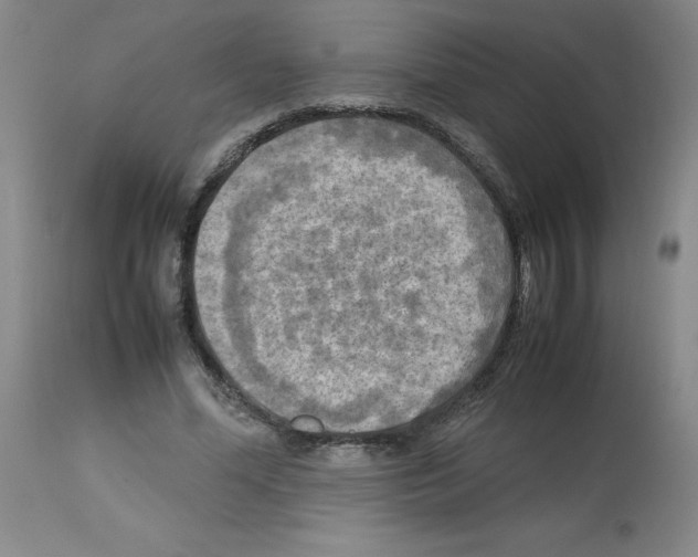 X0000112730588200910011159