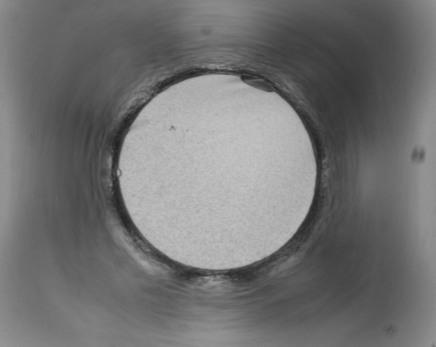 X0000112730589200910011159