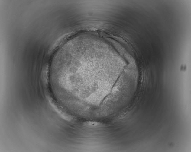 X0000112730590200910011159