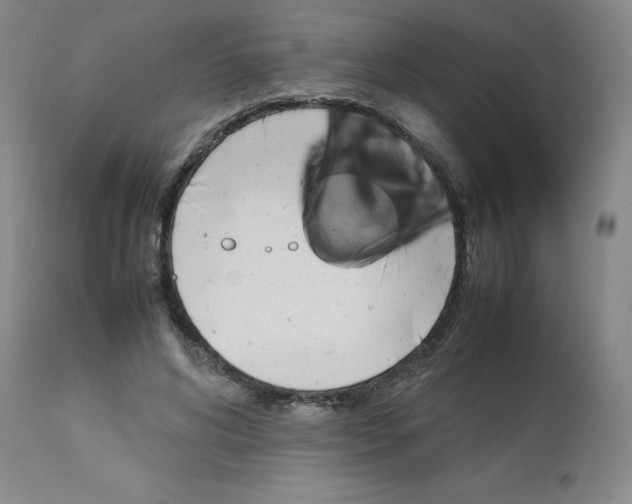 X0000112730592200910011159