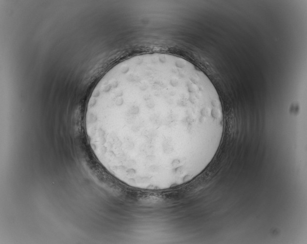 X0000112730594200910011159